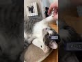 さくらもち🌸8ヶ月