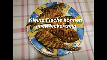 Was zählt zu den weißfischen?