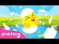 Lagu Bebek | Hewan Ternak | Lagu Anak-anak untuk Anak | Lagu Binatang | Lagu Pinkfong