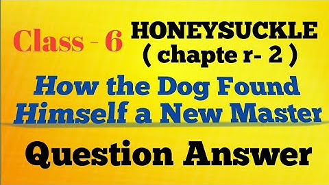 How the Dog Found Himself a New Master all solutions - class 6 English chapter 2 all Question Answer