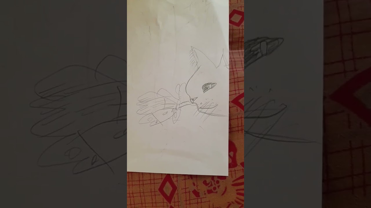 cat and butterfly drawing  wait for end
