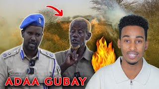 Kiiskii Ninka lagu Gubay Wallaweyn iyo Maxkamadda Ciidanka