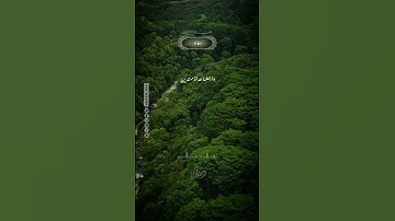 ‏❇️ #آيات و #أدعية من الذكر الحكيم .#قرآن_كريم #دعاء #رمضان_2023 #Ramadan #Ramadan2023 #Quran #دعاء