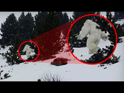 Video: „Bigfoot Hunter” A Filmat Un Yeti Care A Ucis Un Cerb - - Vedere Alternativă