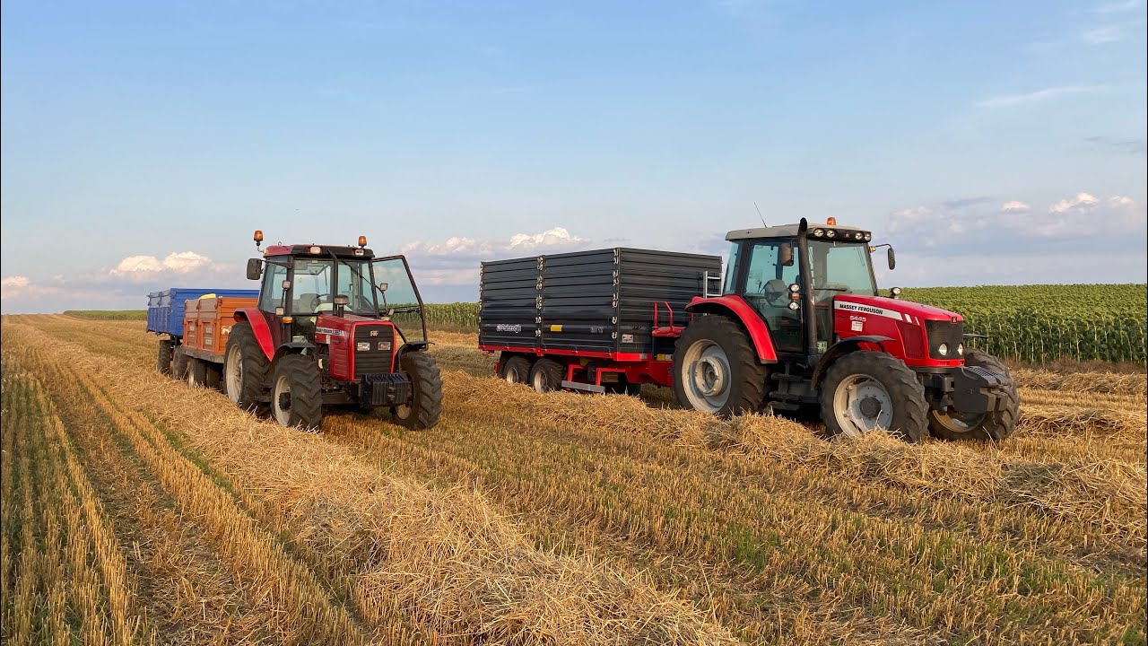 Tarım Vlog #11 | 2023 Buğday Harmanı Vakti