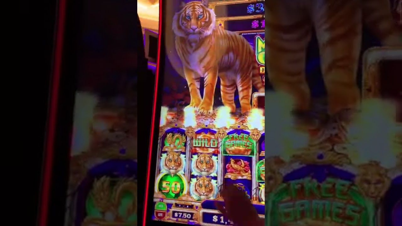 MIGHTY CASH DOUBLE UP HANDPAY  ↗️💲1️⃣4️⃣7️⃣2️⃣ 