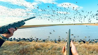 4 RAINOUTS 100+ GEESE ON TEXAS LOAF POND!!