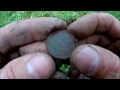 Первая монета. Лесной коп с металлоискателем Smart Sensor AR944M.