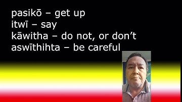 Simple Commands in Woodland Cree