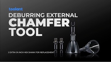 Revolutionize Your Work with toolant