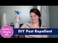 Cheap Home Bug Repellent