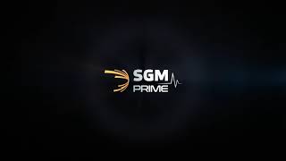 Шумоизоляция SGM Barrier Mix PROFI 9mm и SGM Stripe.