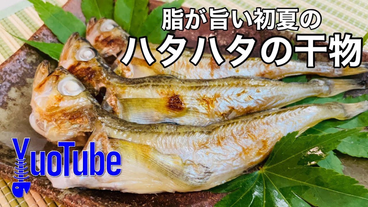 初夏 脂を味わうハタハタの干物をつくってみる Youtube