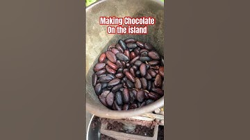 I Made Chocolate From Scratch | Cocoa Beans To Chocolate in Jamaica #chocolate #cocoa #jamaica