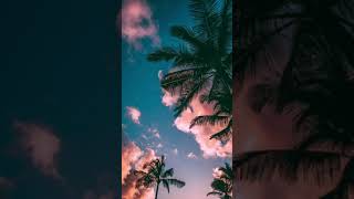 TrapHouse Koda Old Silverado clean remix