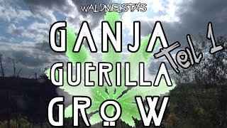 Ganja Guerilla Grow | Teil 1