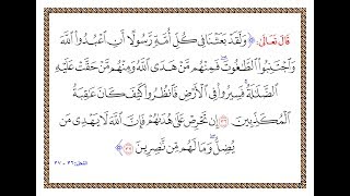 تفسير سورة النحل - من الآية 36 إلى الآية 37 - تفسير السعدي المقروء والمسموع