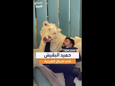 صانع المحتوى حميد البقيش ضيف صباح العربية