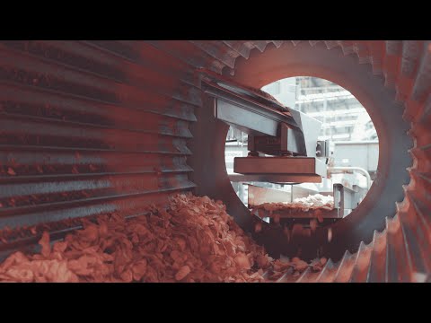PPM Technologies Food Processing Solution-Frying, Seasoning and Conveying