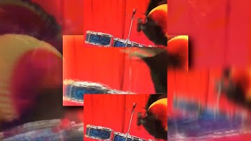 WITH MY DRUMSTICKS! Csupo Scan (Veg Replace)