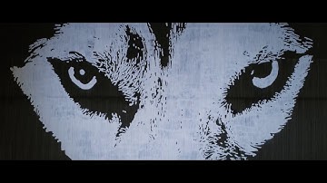 COPENHELL 2017 - Official Aftermovie