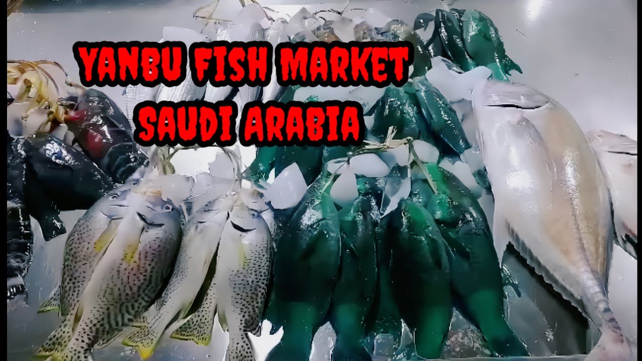 Yanbu Fish Shop Saudi Arabia 🇸🇦 | Local Fish Market View | Beat Zone