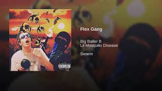 Big Baller B & Lil Mosquito Disease - Flex Gang (Official Audio)