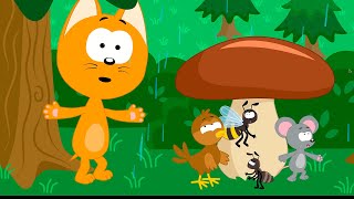 Rain is Going Mushroom is Growing - Kote Kitty Kids Songs