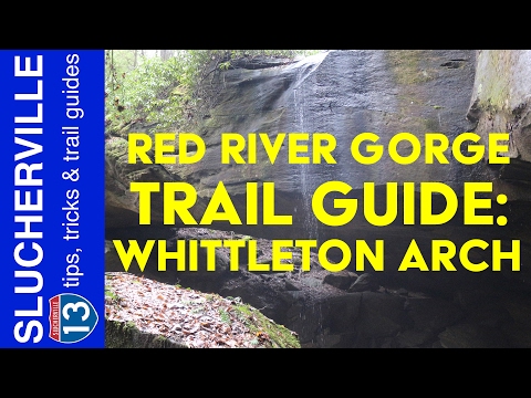 Video: Red River Gorge, Kentucky: la guía completa