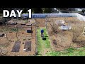 Early Spring Garden Tour, Suburban Backyard Gardening