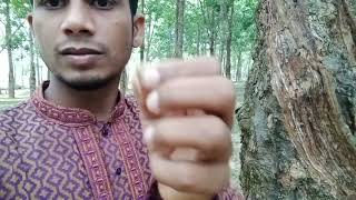 রাবার গাছকে কিভাবে ঘুরাতে হয় দেখুন।short video. fun