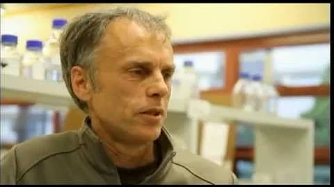 WEL Networks Environmental Science Award: Kevin Co...