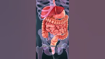 🚨 Symptoms like stomach pain, bloating, or discomfort aren’t always “normal.”