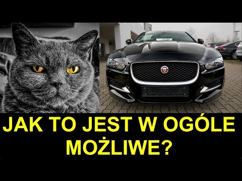Ten Jaguar XE
