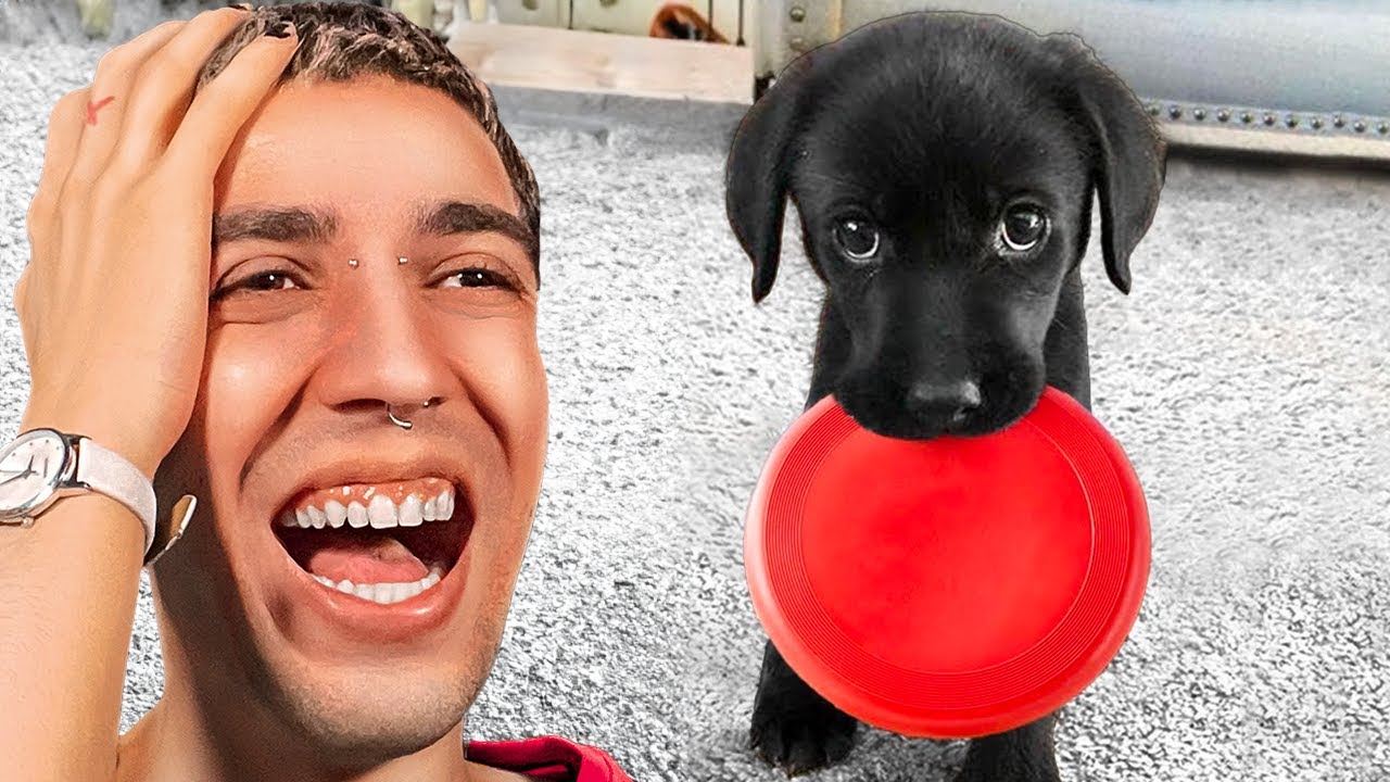 Τα πιο ΧΑΡΙΤΩΜΕΝΑ ΖΩΑ!