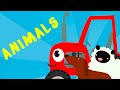 ANIMALS 🐼 🐵 KIDS SONG  | Learning Videos For Kids