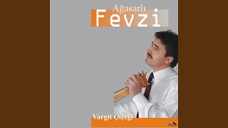 Arı Konar Peteğe Resimi