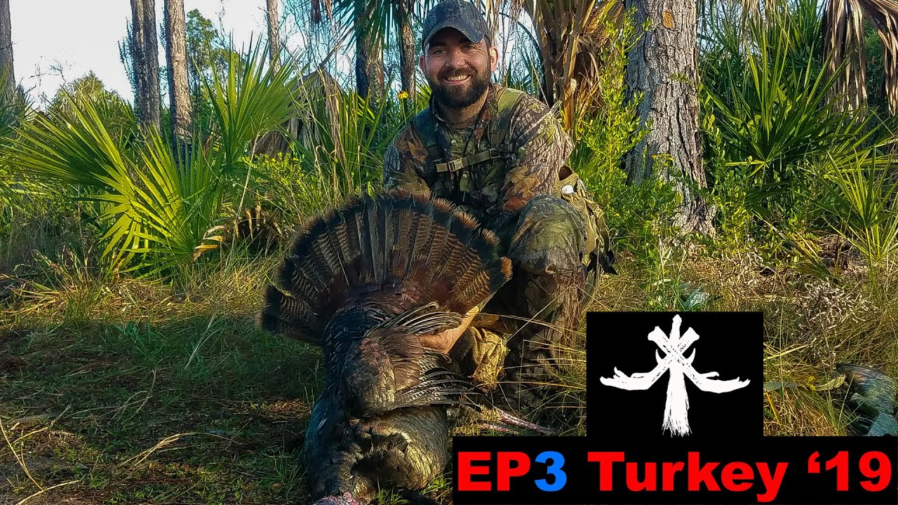 Florida Public Land Osceola Turkey Hunting with Panther sighting