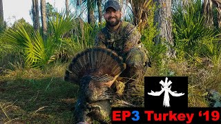 Florida Public Land Osceola Turkey Hunting - with Panther sighting