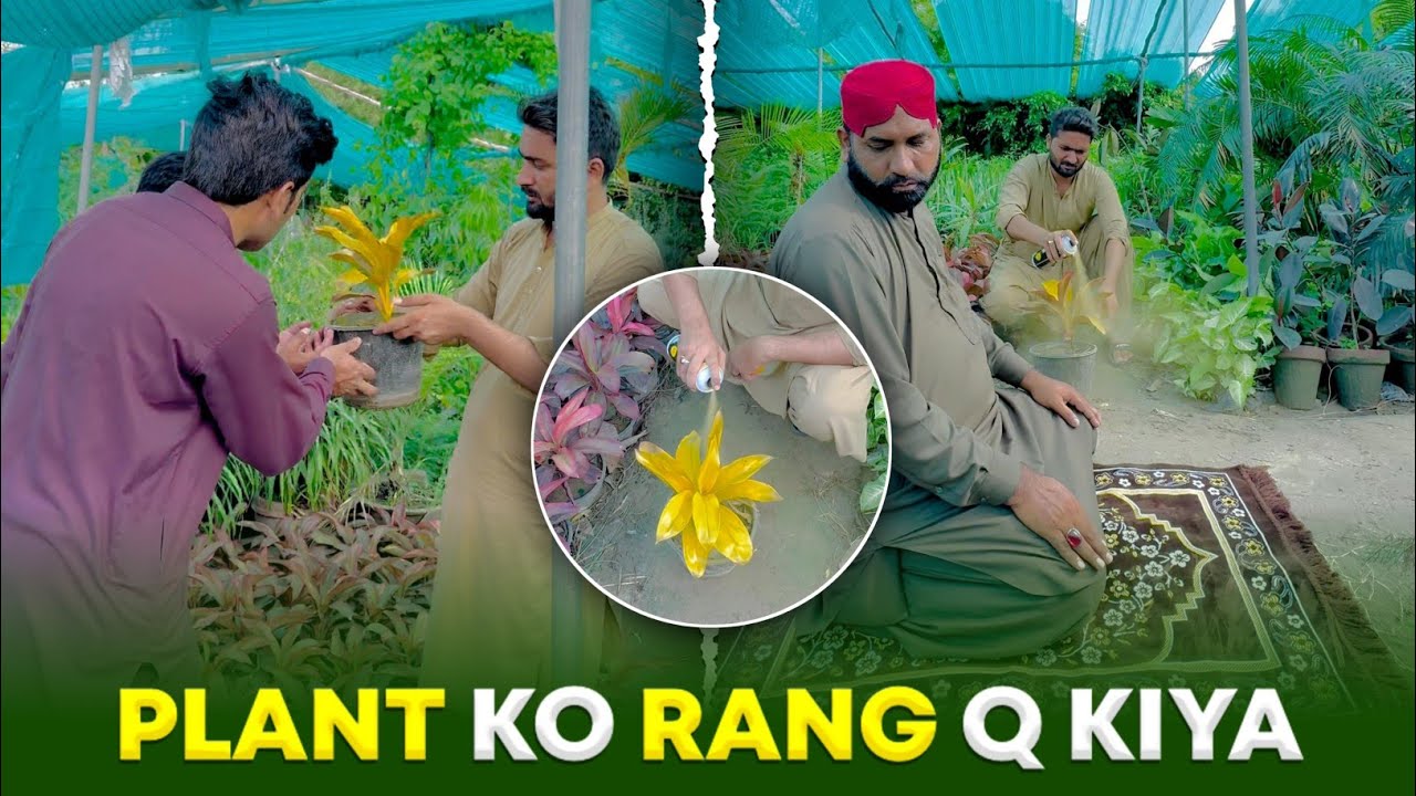 Plant Ko Rang Q Kiya😱 | Bilal Maqbool - YouTube