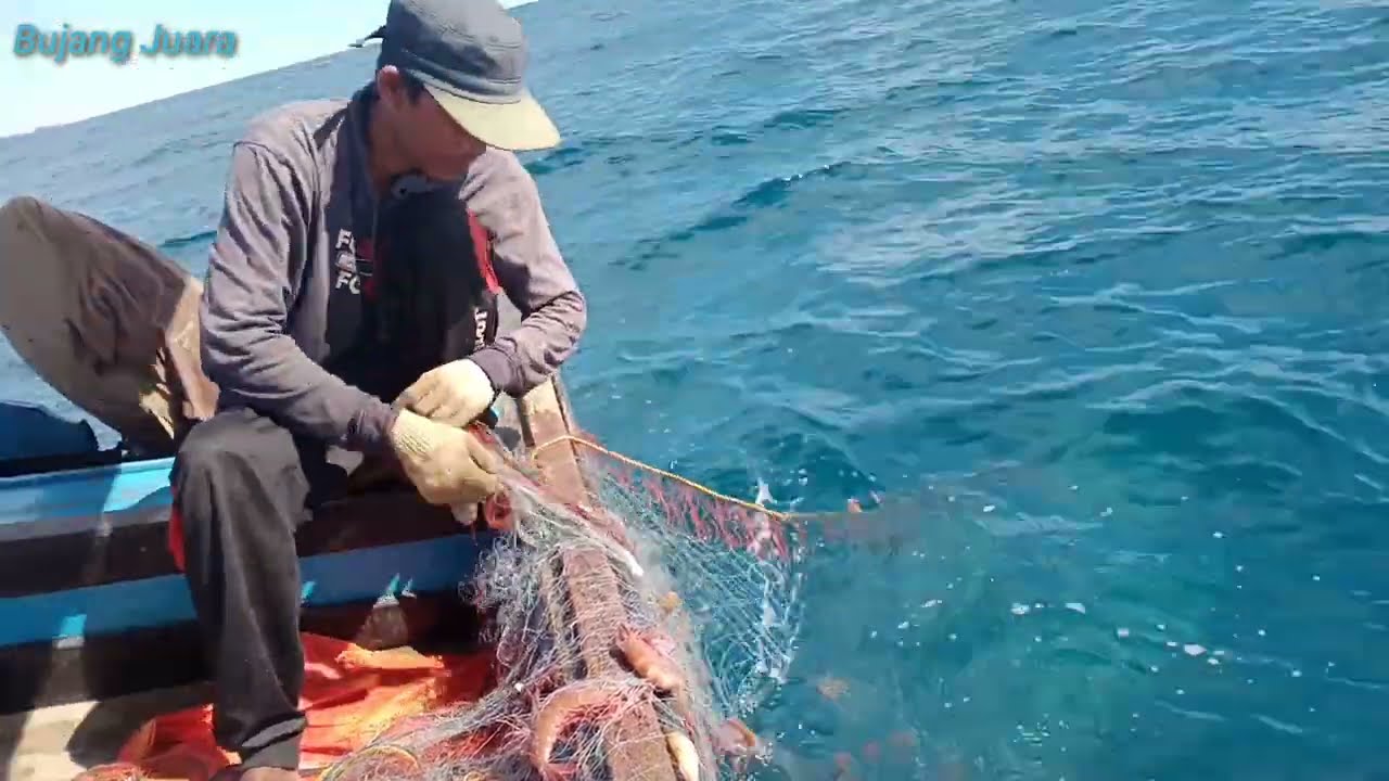 Alhamdulillah masih di beri rezeki Menjaring udang di akhir musim timur,,,