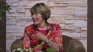 007 Journey of Hope 20150113