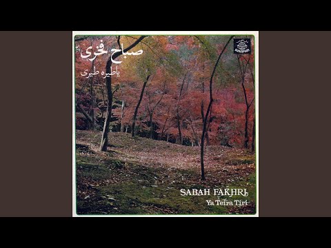 Zaman Ya Zaman