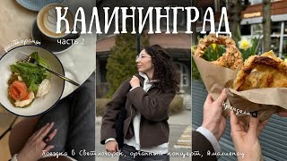 видео: Влог ч2: Калининград, Зеленоградск и Светлогорск| красивейшая архитектура, вкусная еда и Балтийское🌊 картинка: Влог ч2: Калининград, Зеленоградск и Светлогорск| красивейшая архитектура, вкусная еда и Балтийское🌊