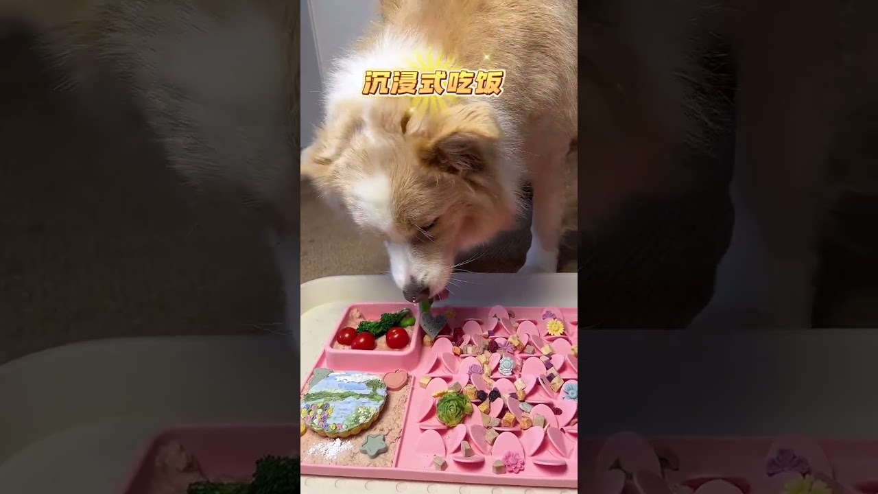 High IQ Little fight Maze fan laughs don t play at all