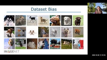 Understanding and Mitigating Bias in Visual Recognition