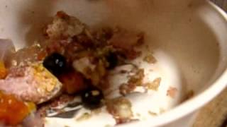 20090512 ご飯に大興奮2