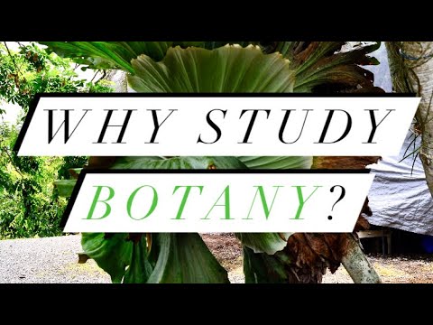 Wht Botany Is Important Why Are You Botany Major