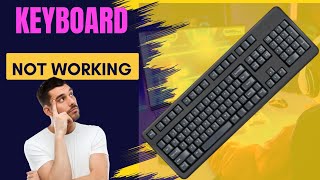 Keyboard Kam Nahi Kar Raha ai to Kya Karen | Keyboard Not Working Windows 11