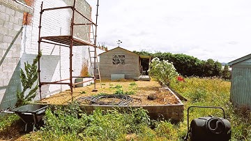 Dit is wat er gebeurt als onkruid uw tuin overneemt!